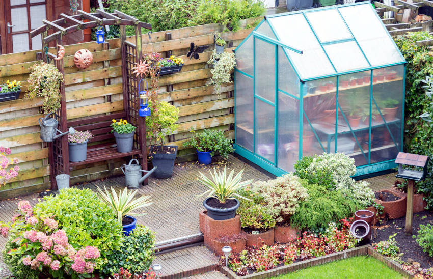 Greenhouse in Backyard